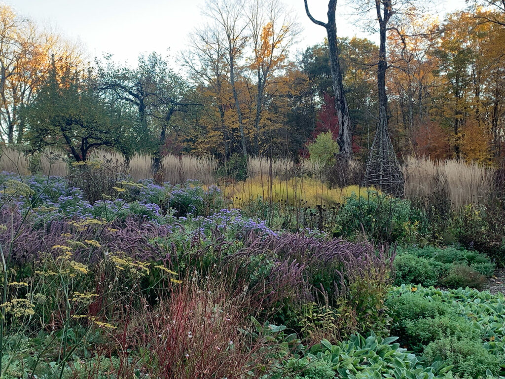 An autumn garden