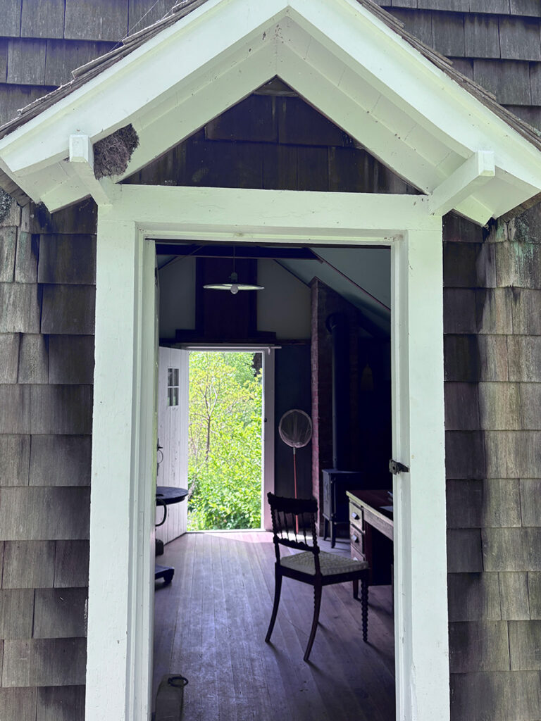 A Phoebe nest in the eave of the cottage