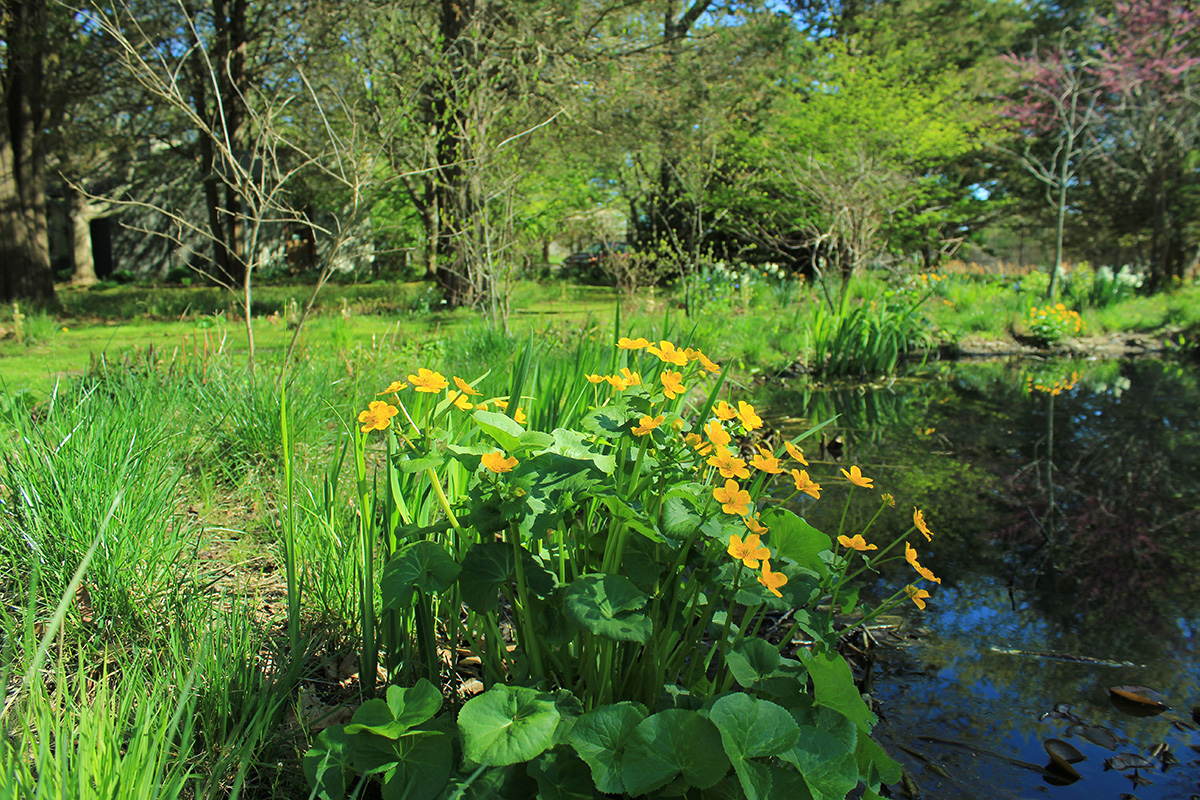 Sign up for a Free Living Lands Eco Site Visit on the East End
