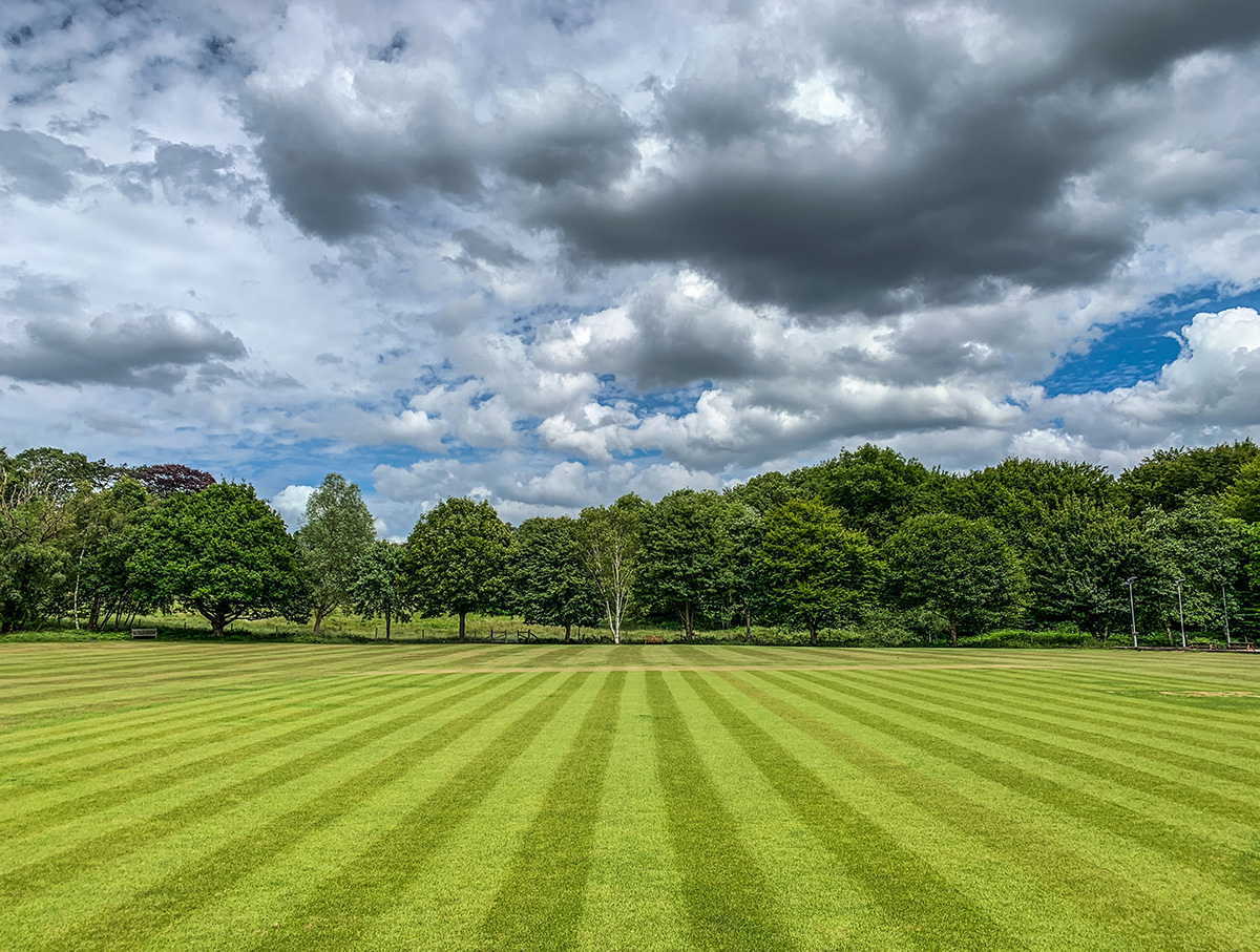 A yard with a large lawn by Roger Thornby from Getty Images Signature