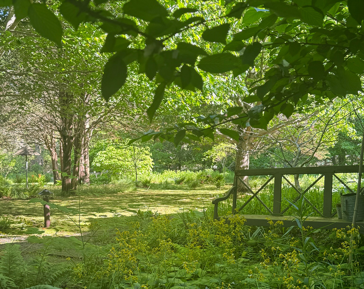 Landscaper Language: How to Get the Nature-Based Help You Need