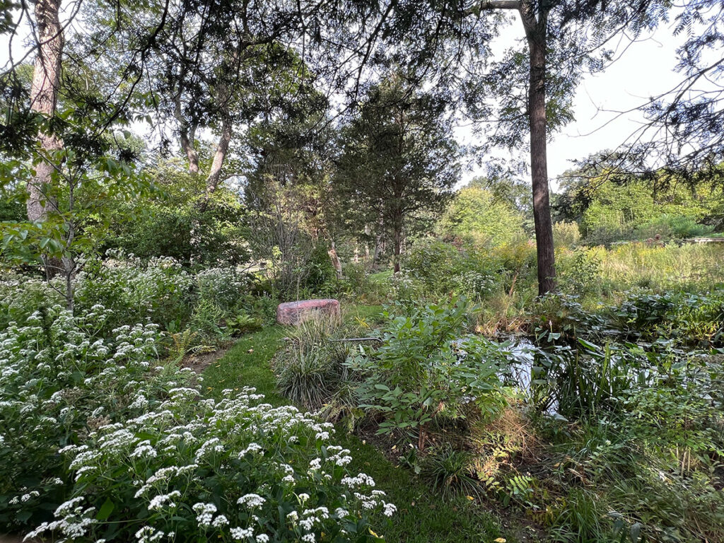 pond in fall