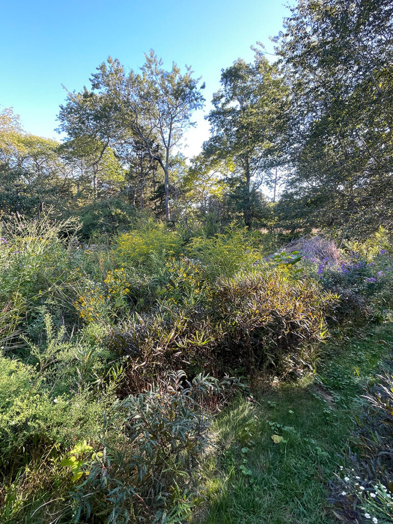 meadow with a habitat stack at Marshouse