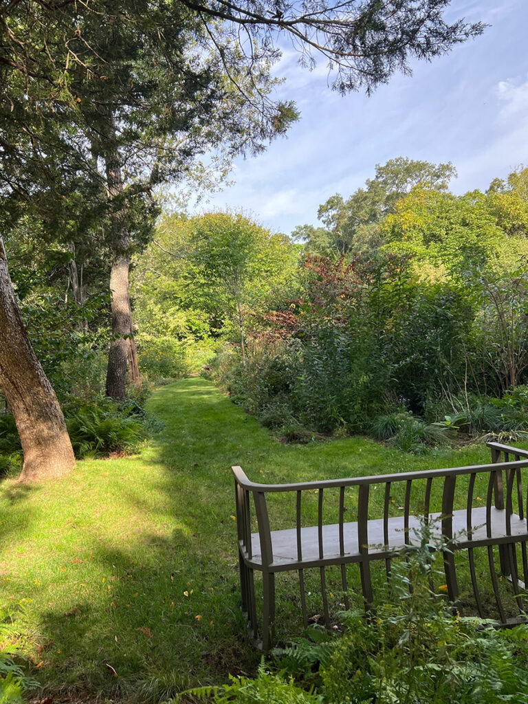 Thicket Walk