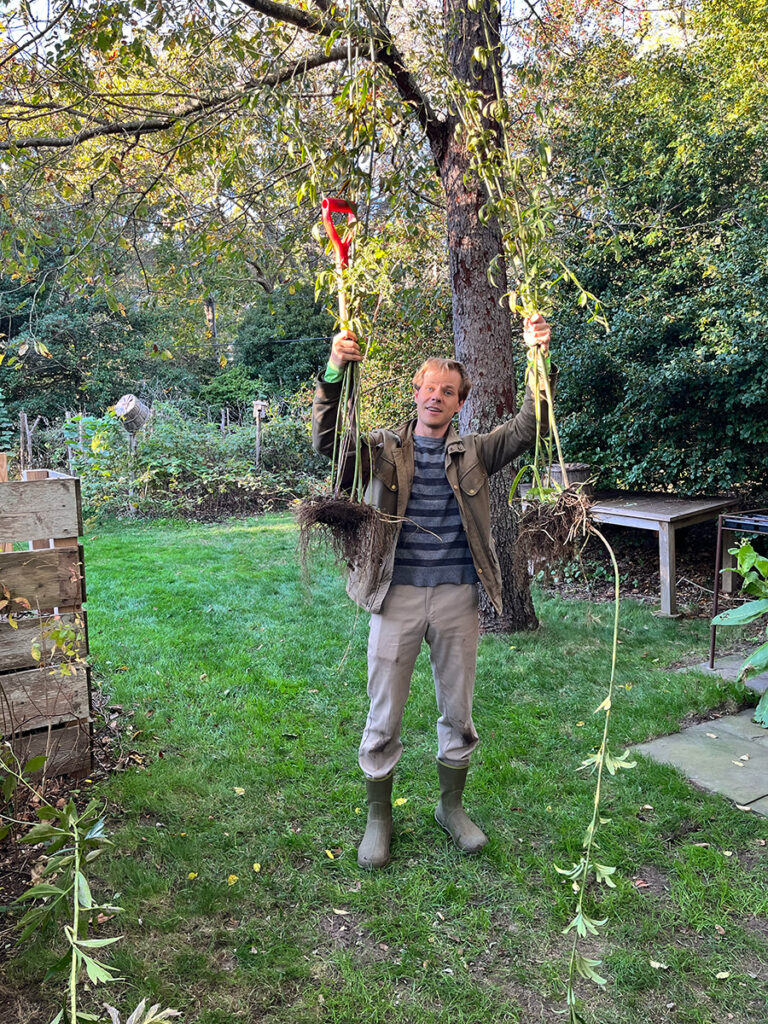 Man holding up recently dug up native plants that he will soon replant