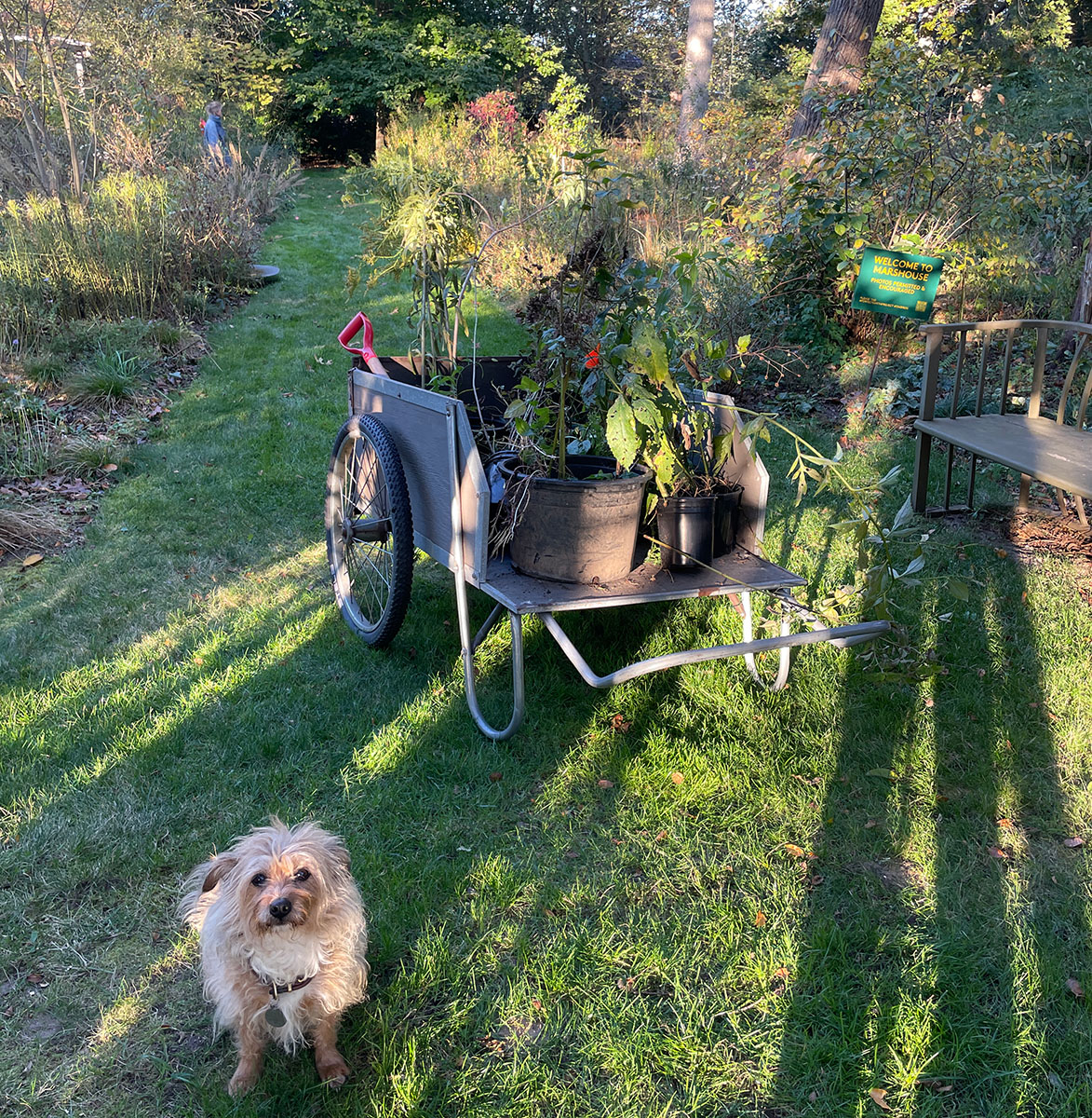 Sharing a Love of Native Plants